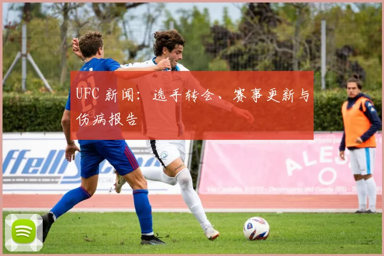 UFC 新闻:选手转会、赛事更新与伤病报告